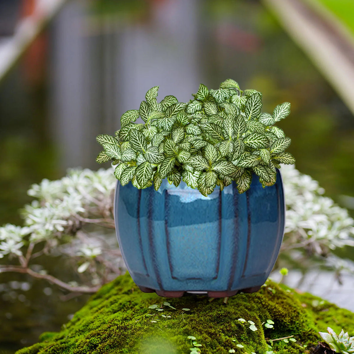 Vaso de Cerâmica com Drenagem