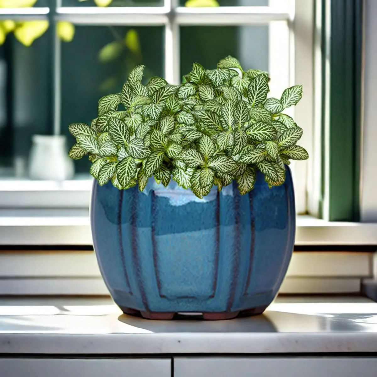 Vaso de Cerâmica com Drenagem